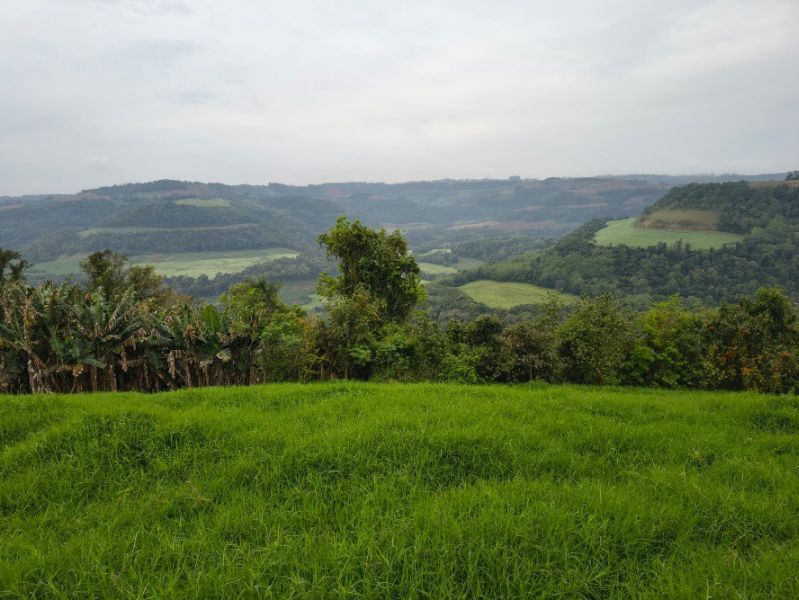 Fração ideal com 113.500m², localizado em Vista Alegre - RS