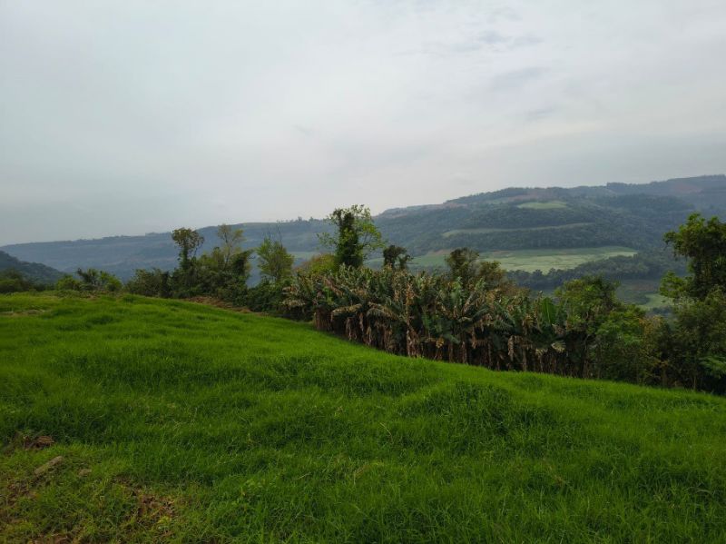 Fração ideal com 113.500m², localizado em Vista Alegre - RS