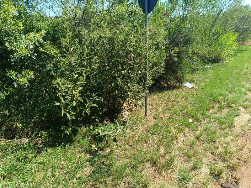 Terreno no Champagnat (foto 18 de 25)