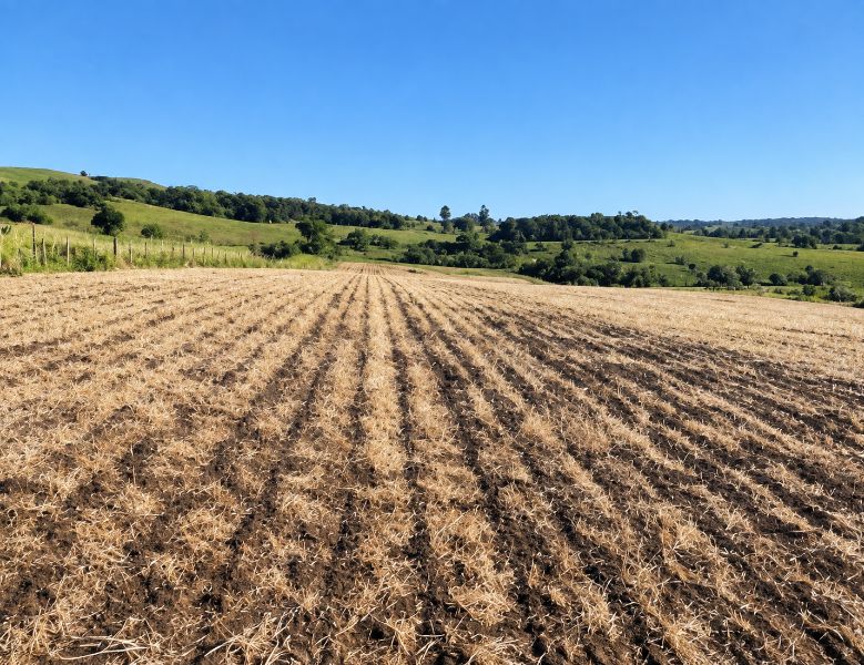 Parte ideal área rural com 92.998,00m², localizado em Unistalda - RS