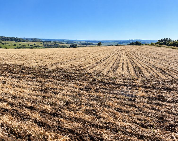 Parte ideal área rural com 92.998,00m², localizado em Unistalda - RS