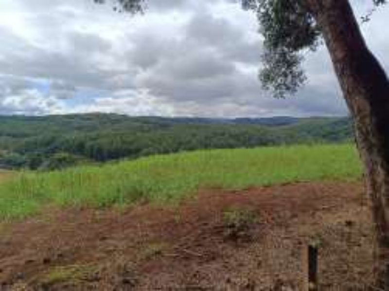 Gleba no Marmeleiro (foto 20 de 26)