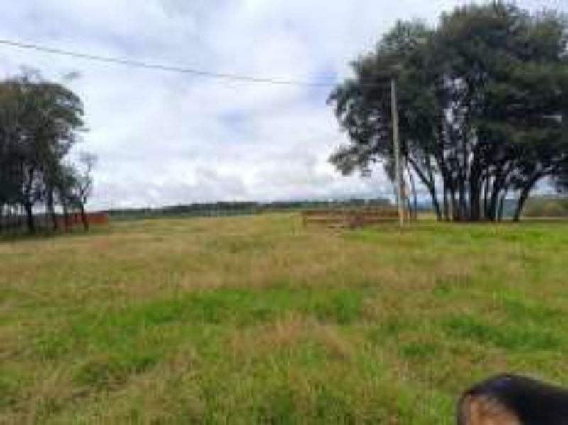Gleba no Marmeleiro (foto 22 de 26)