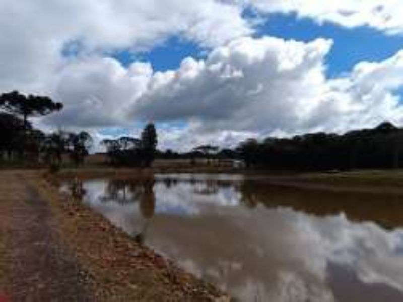 Gleba no Marmeleiro (foto 21 de 26)