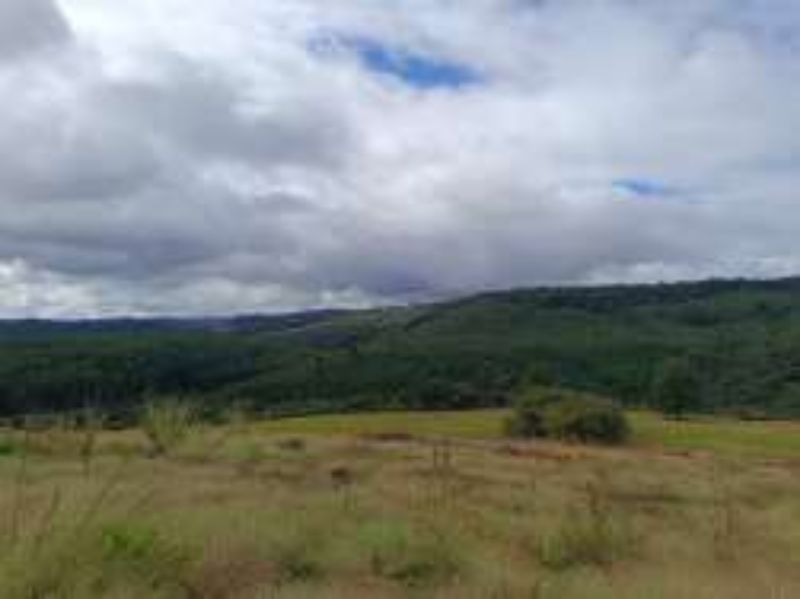 Gleba no Marmeleiro (foto 25 de 26)