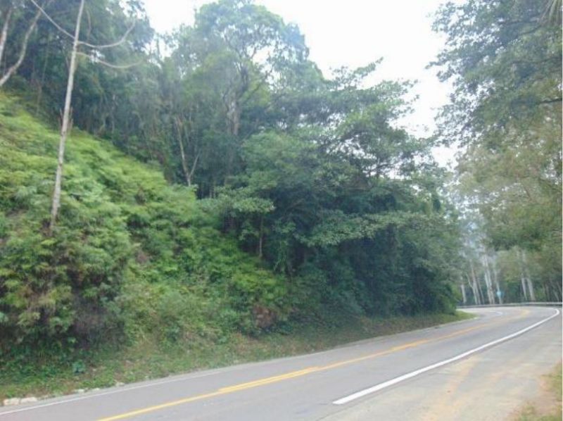 Gleba no Gancho (foto 30 de 31)