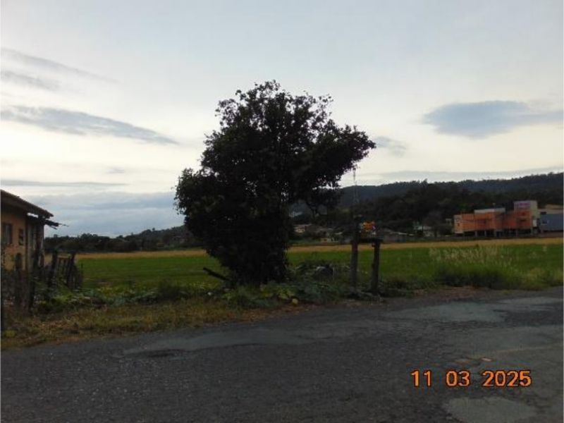 Terreno no Barra do Trombudo (foto 23 de 28)