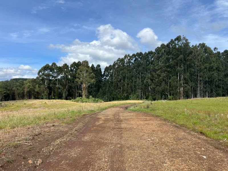 Gleba no Linha Águas Belas (foto 18 de 18)