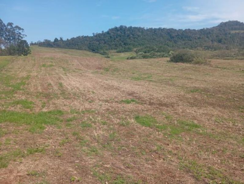 Área de 100.000,00m² em Linha Pedras Brancas Baixa