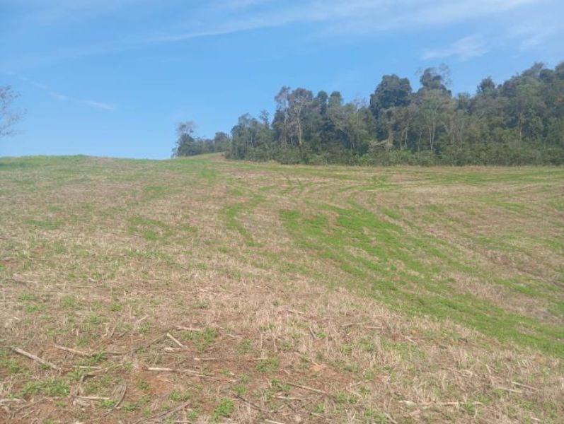 Gleba no Linha Pedras Brancas Baixa (foto 13 de 15)
