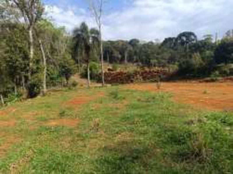 Gleba no Linha Santa Terezinha e Alto Suruvy (foto 18 de 24)