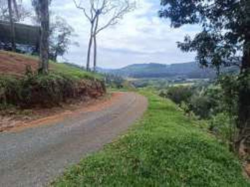 Gleba no Linha Santa Terezinha e Alto Suruvy (foto 16 de 24)