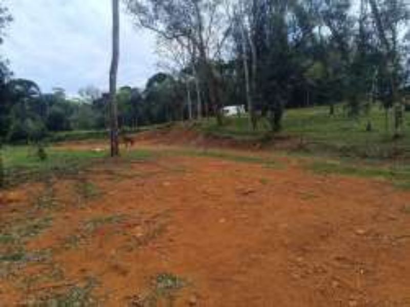 Gleba no Linha Santa Terezinha e Alto Suruvy (foto 13 de 24)