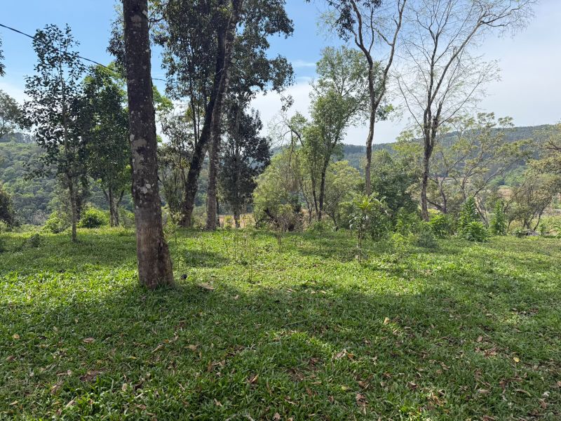 Gleba no Linha Santa Terezinha e Alto Suruvy (foto 6 de 24)