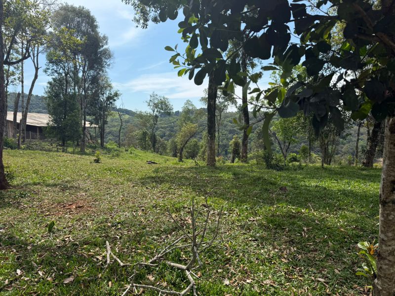 Gleba no Linha Santa Terezinha e Alto Suruvy (foto 7 de 24)