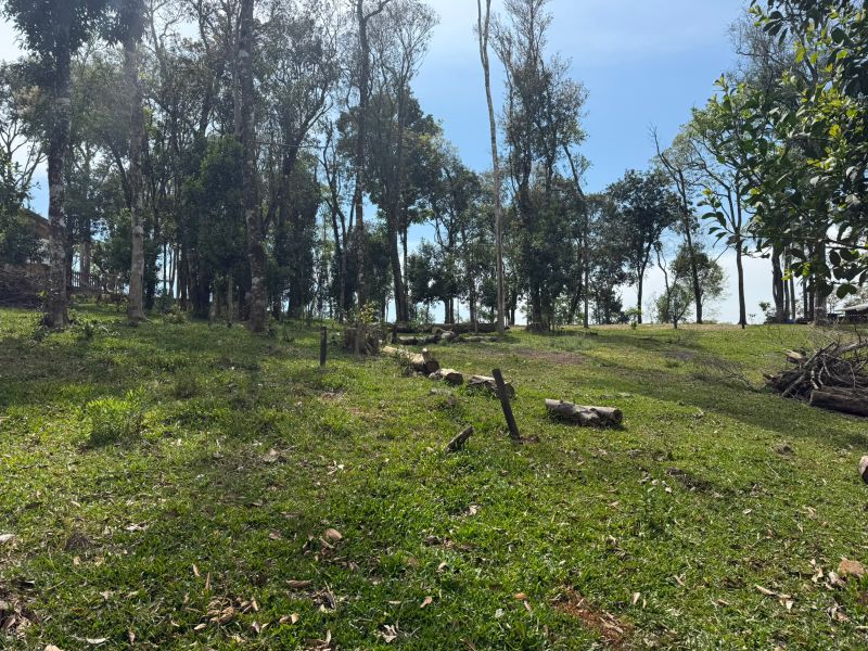 Gleba no Linha Santa Terezinha e Alto Suruvy (foto 5 de 24)