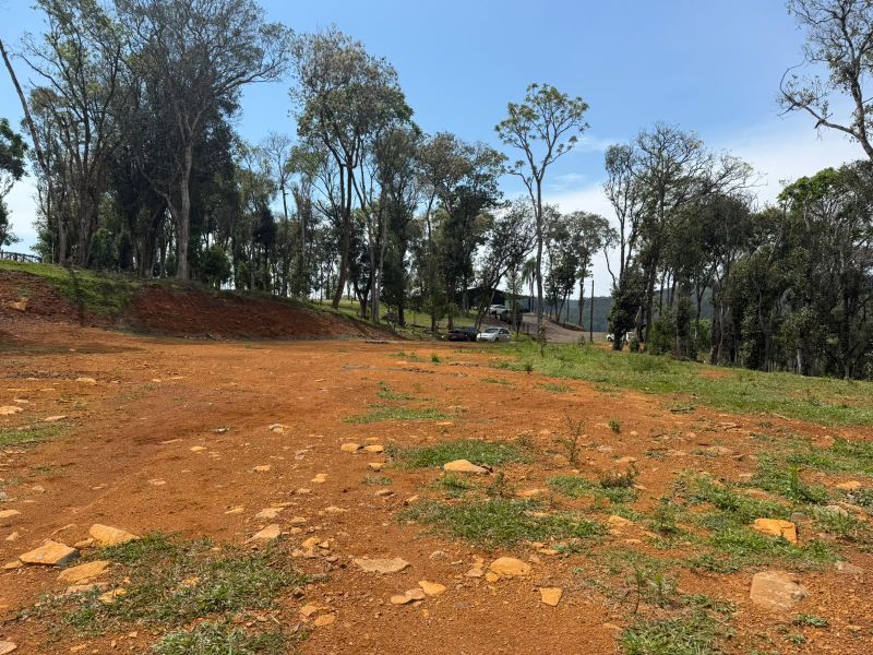 Gleba no Linha Santa Terezinha e Alto Suruvy (foto 3 de 24)