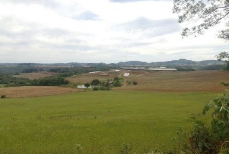 Gleba no Linha Alvorada (foto 9 de 13)