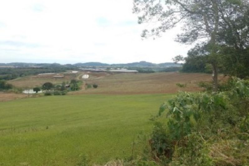 Gleba no Linha Alvorada (foto 7 de 13)
