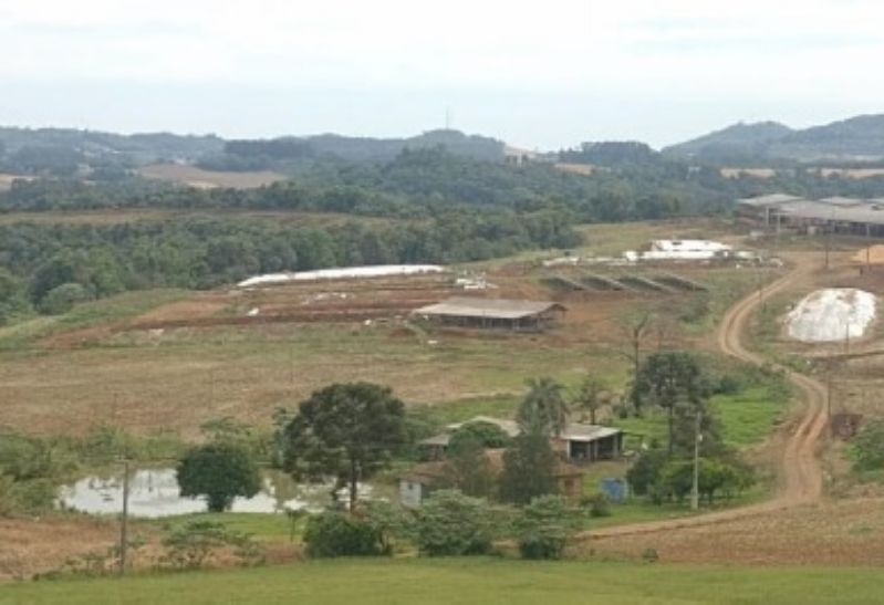 Gleba no Linha Alvorada (foto 3 de 13)