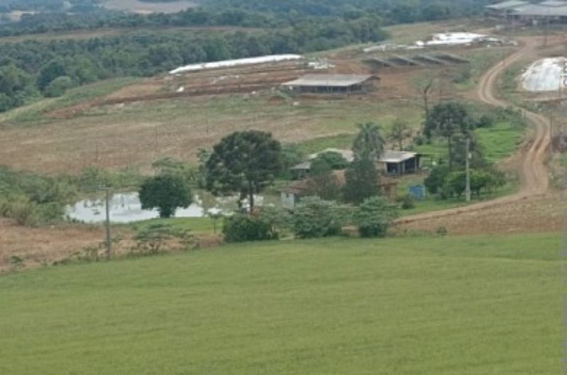 Gleba no Linha Alvorada (foto 4 de 13)