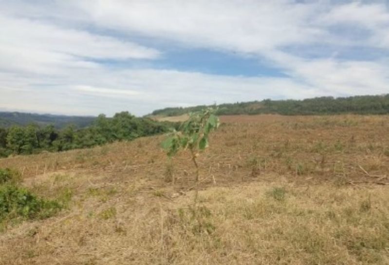 Gleba (foto 7 de 9)