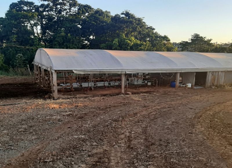 Gleba no Linha Salete (foto 8 de 9)