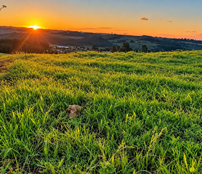 Gleba no Linha Salete (foto 4 de 9)
