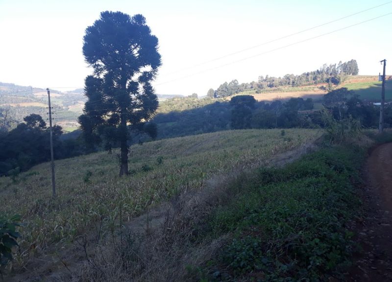 Gleba (foto 14 de 14)