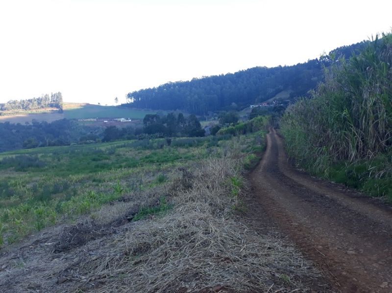 Gleba (foto 13 de 14)