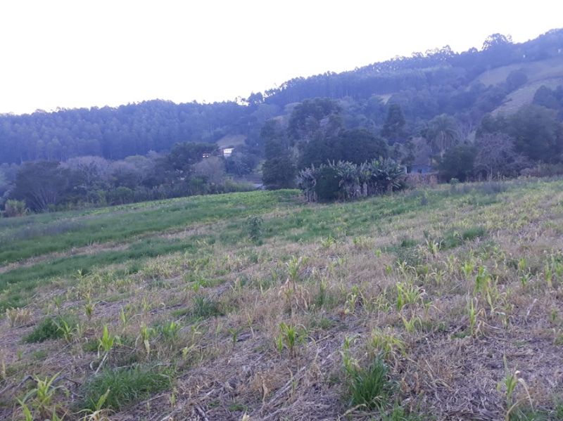Gleba (foto 10 de 14)