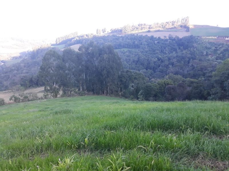Gleba (foto 9 de 14)