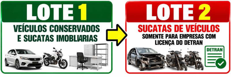 SUCATAS DE VEÍCULOS (CNPJ)