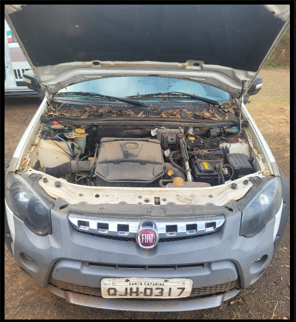 AUTOMOVEL Fiat/Palio WK Ano: 2018/2018 — foto 5 de 5