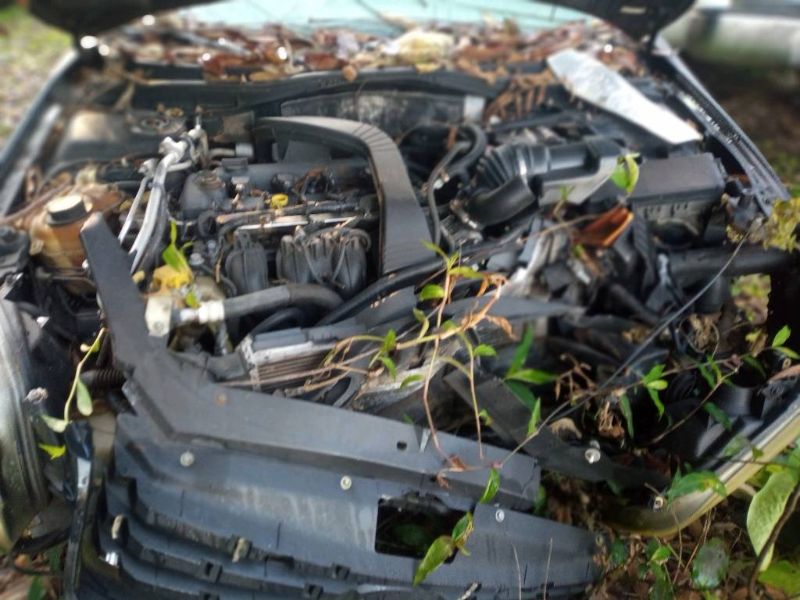 FORD FUSION SUCATA I 2006/2007