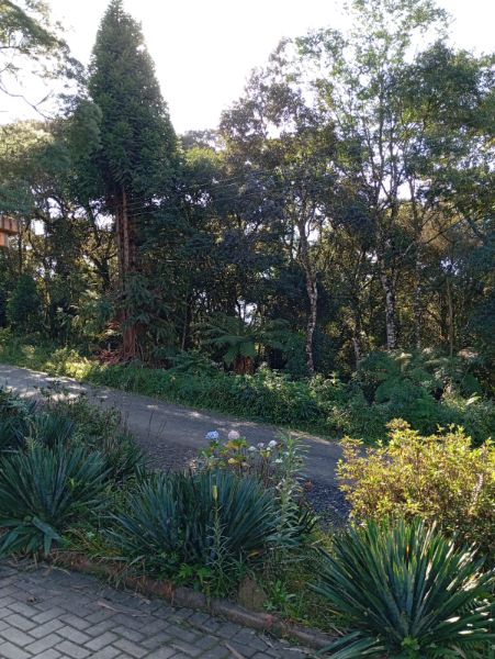 TERRENO EM SÃO BENTO DO SUL, localizado em São Bento Do Sul - SC