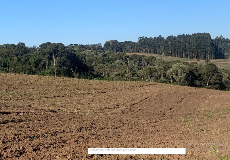TERRENOS EM MAFRA/SC, localizado em São Paulo - SP