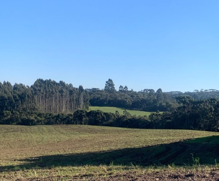TERRENOS EM MAFRA/SC, localizado em São Paulo - SP