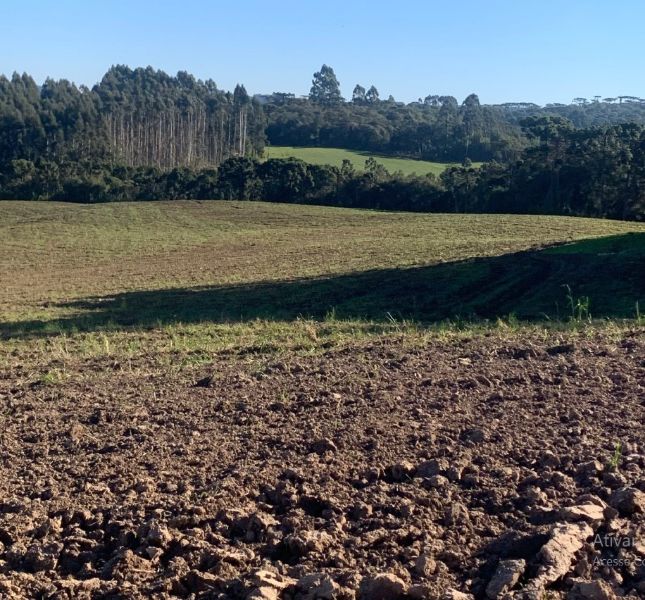 TERRENOS EM MAFRA/SC, localizado em São Paulo - SP