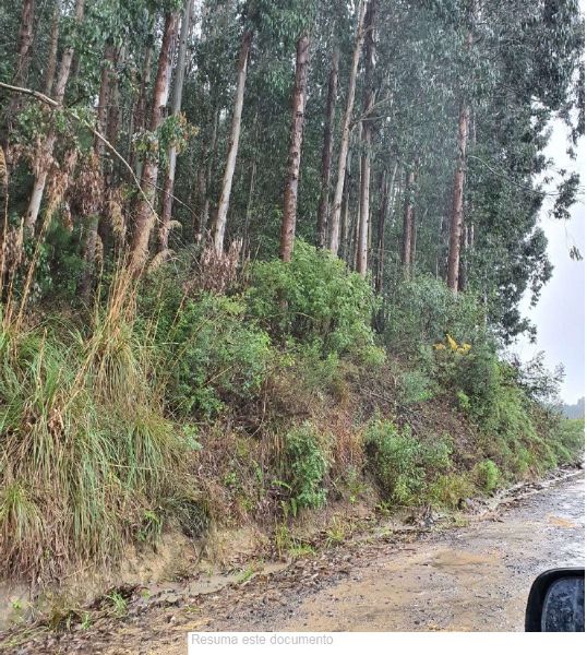 IMÓVEL EM ITAIÓPOLIS, localizado em Itaiópolis - SC
