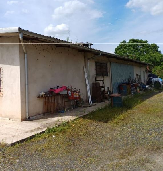 TERRRNO DISTRITO IND. RIO NEGRINHO, localizado em Rio Negrinho - SC, bairro Industrial Norte