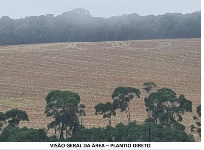 IMÓVEL RURAL 180.954 m2(MAFRA/SC), localizado em Mafra - SC