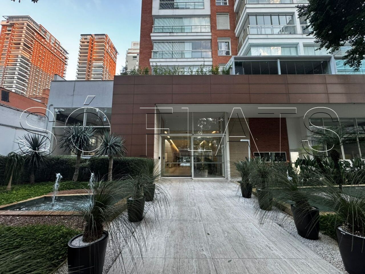 Foto 19