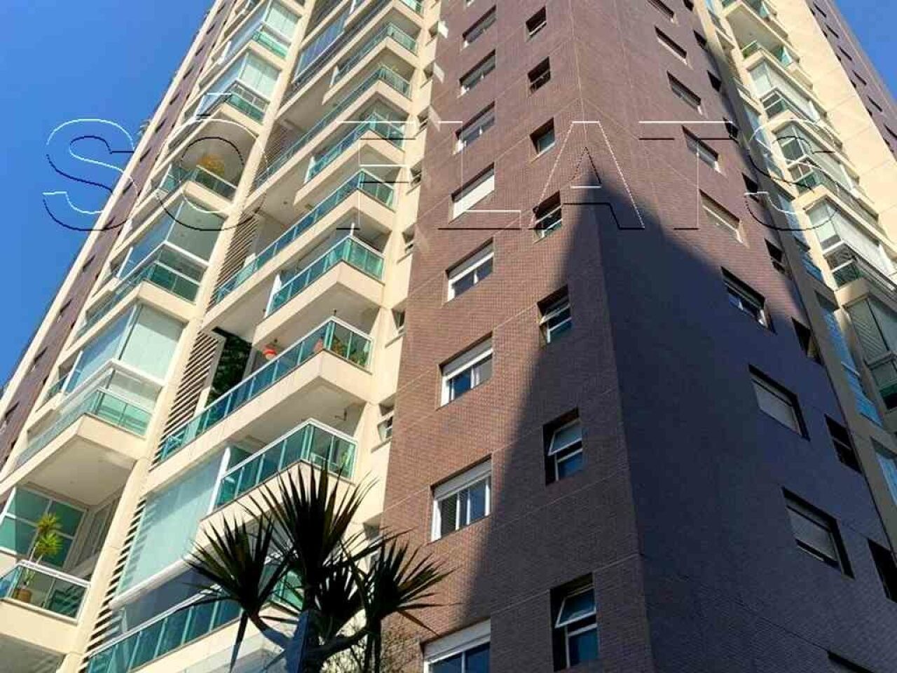 Foto 42