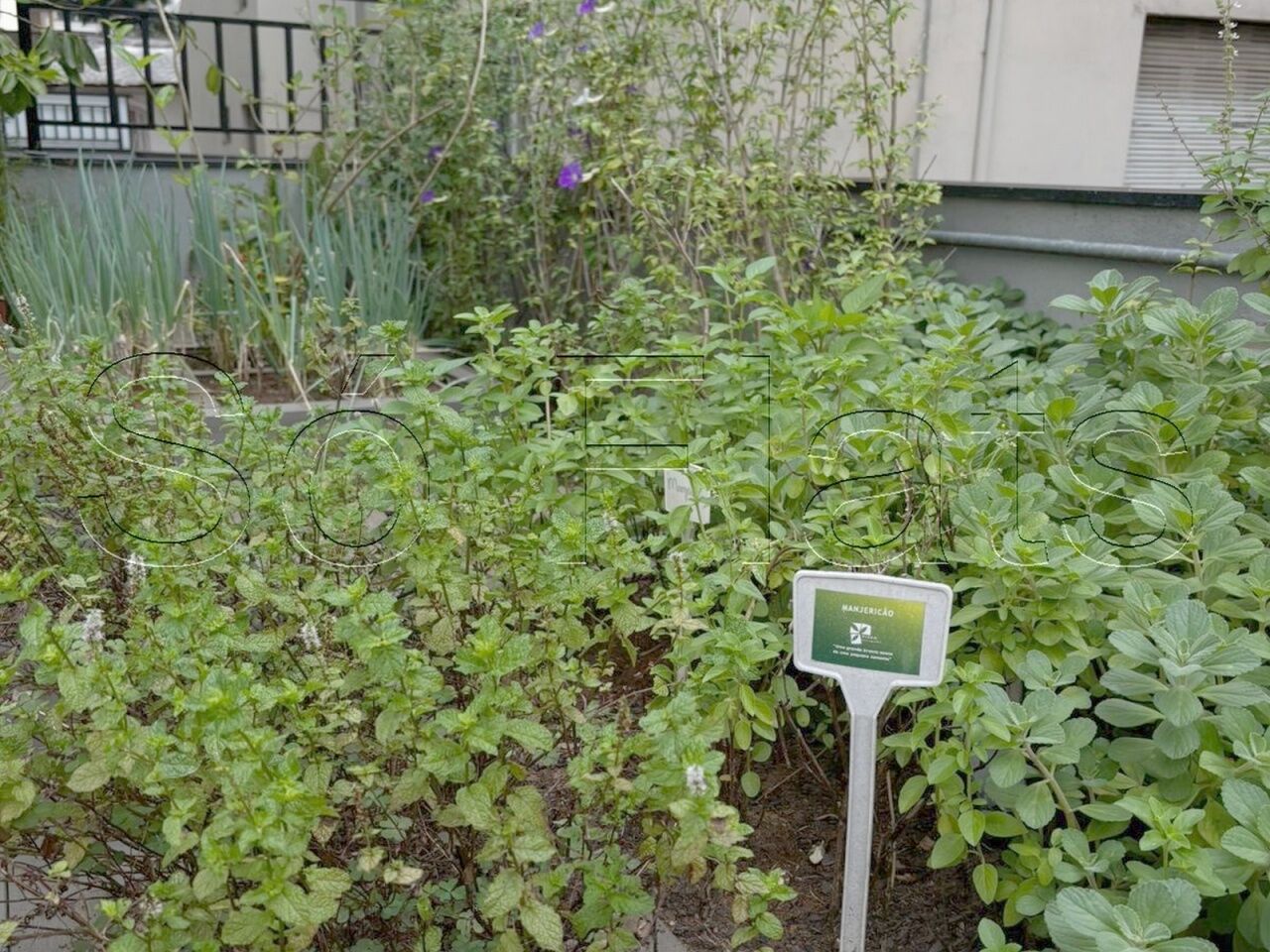 Foto 15