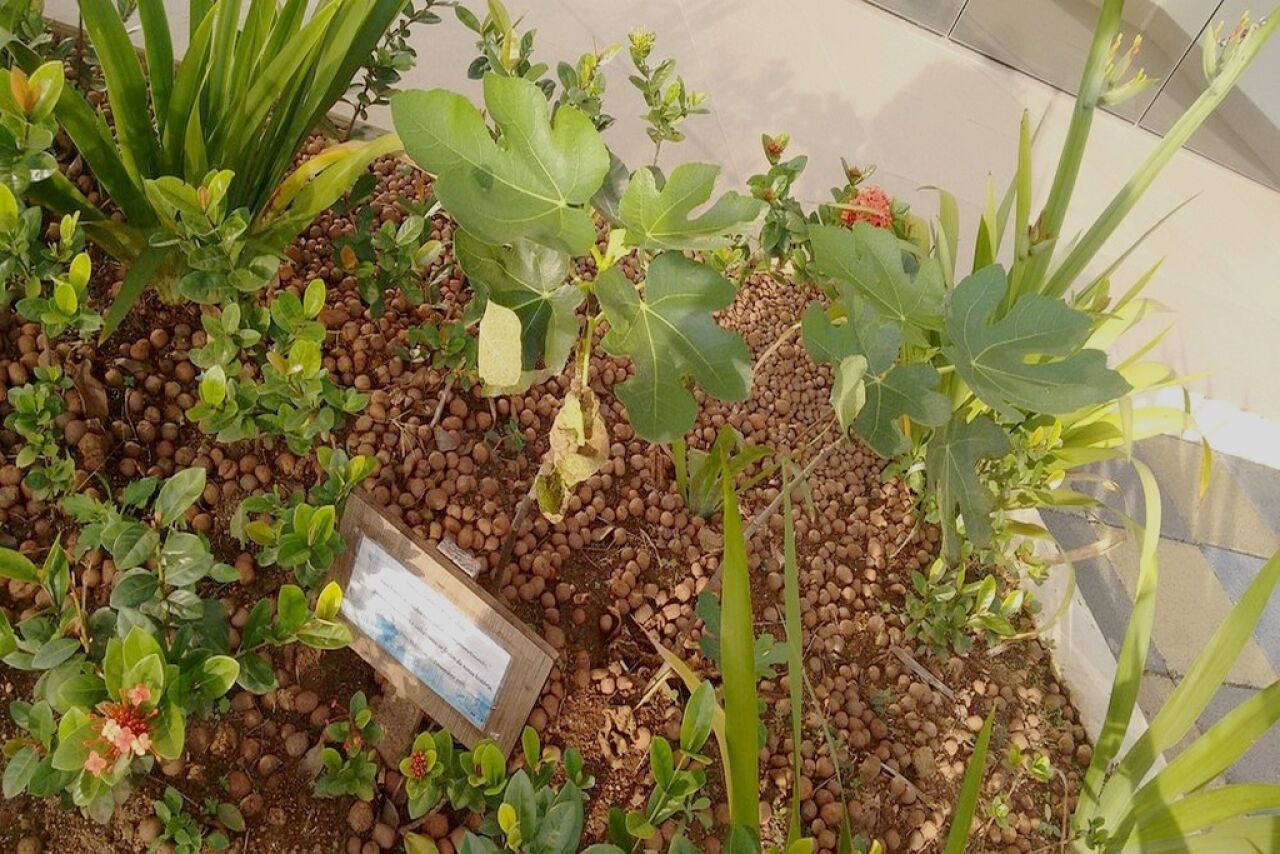 Foto 12