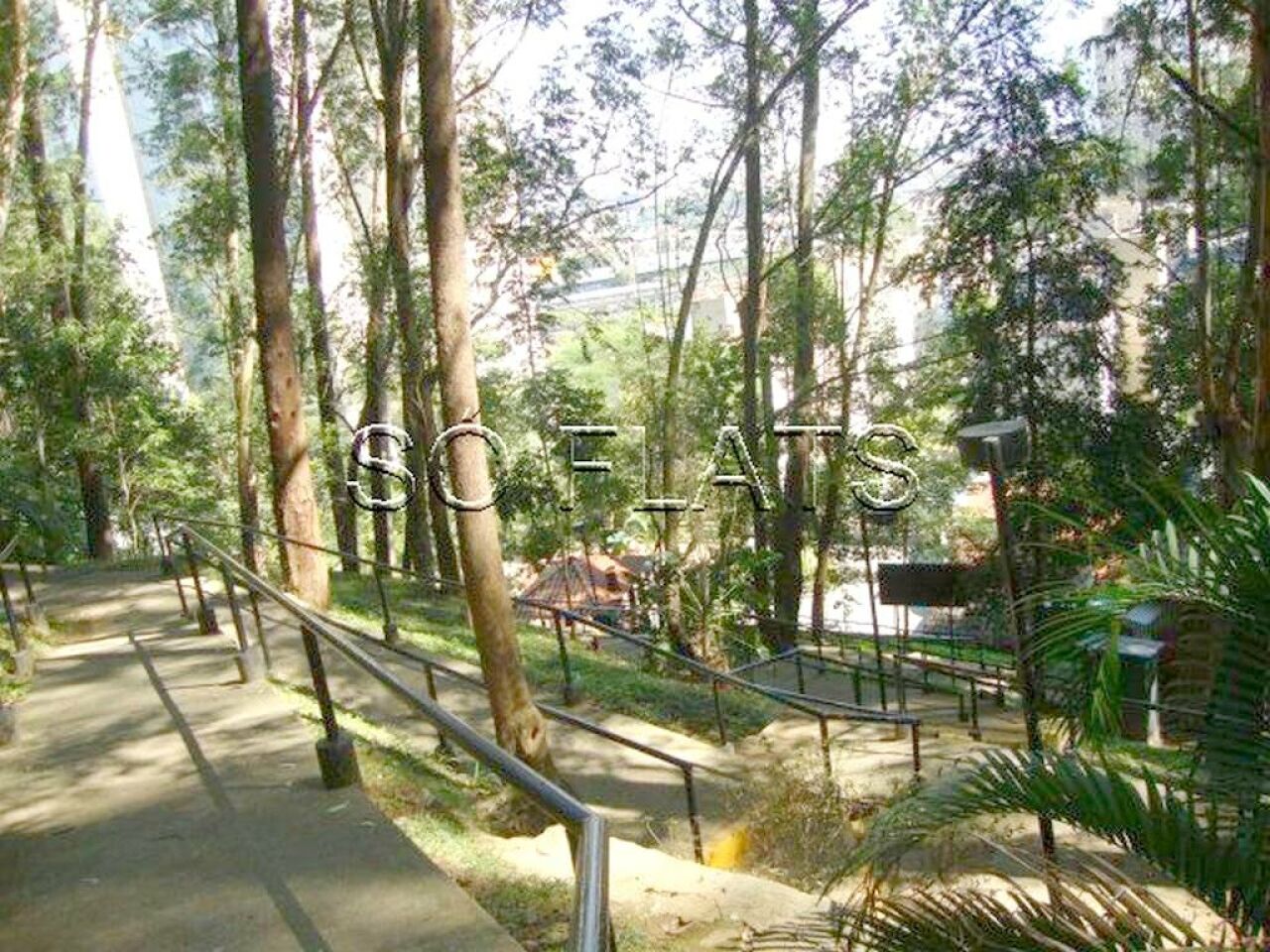 Foto 23