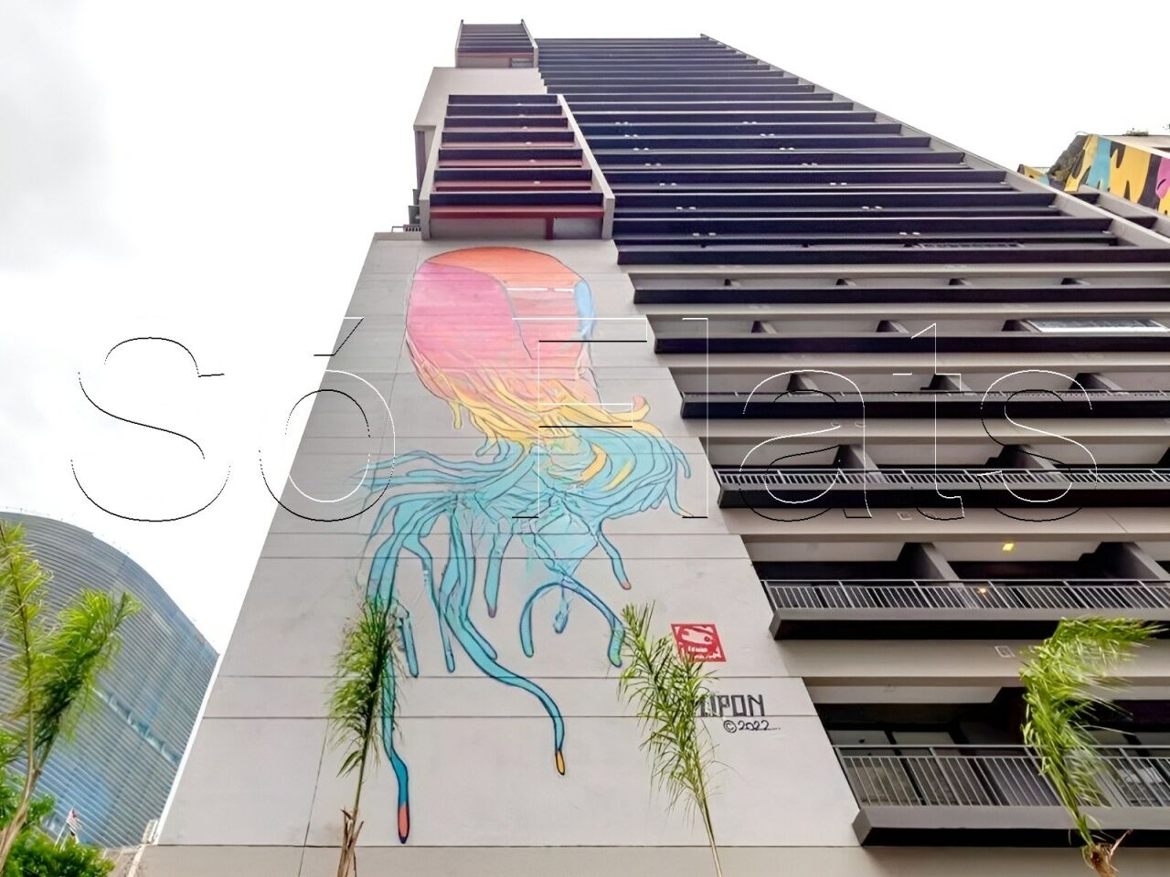 Foto 14