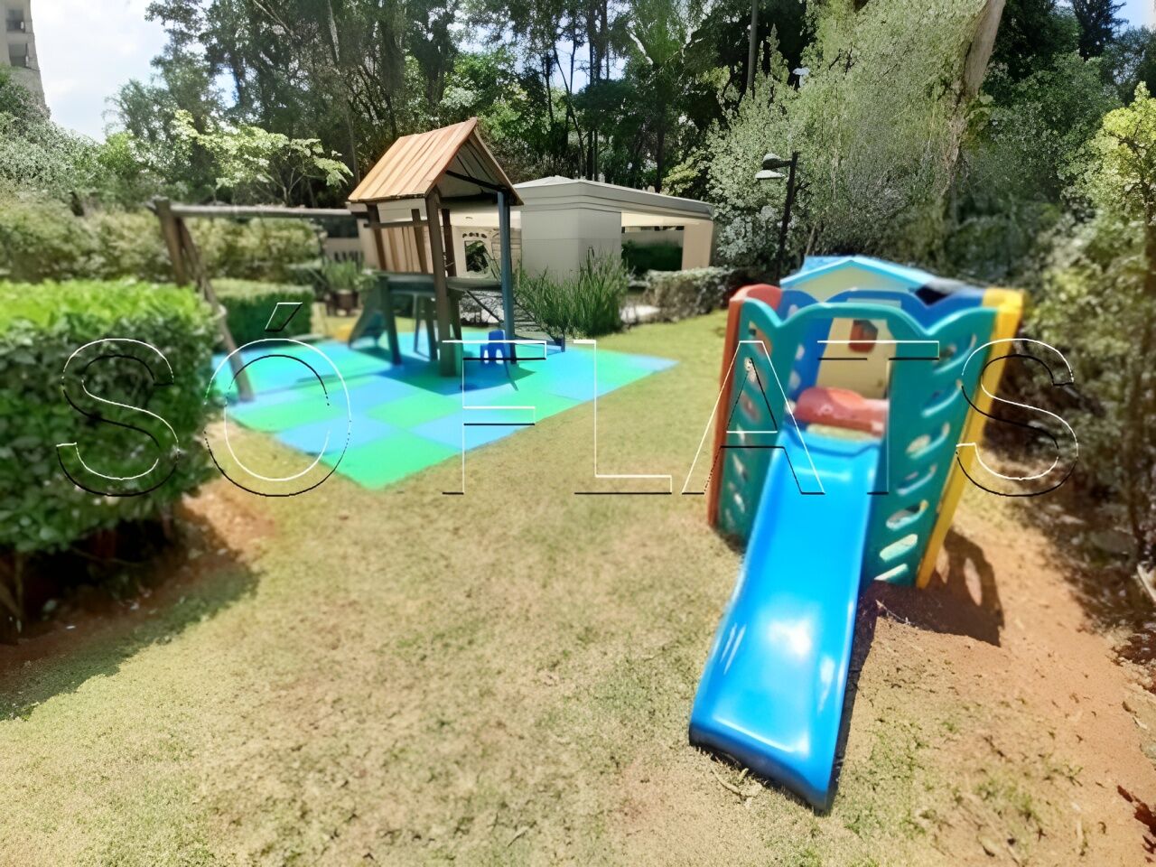 Foto 41