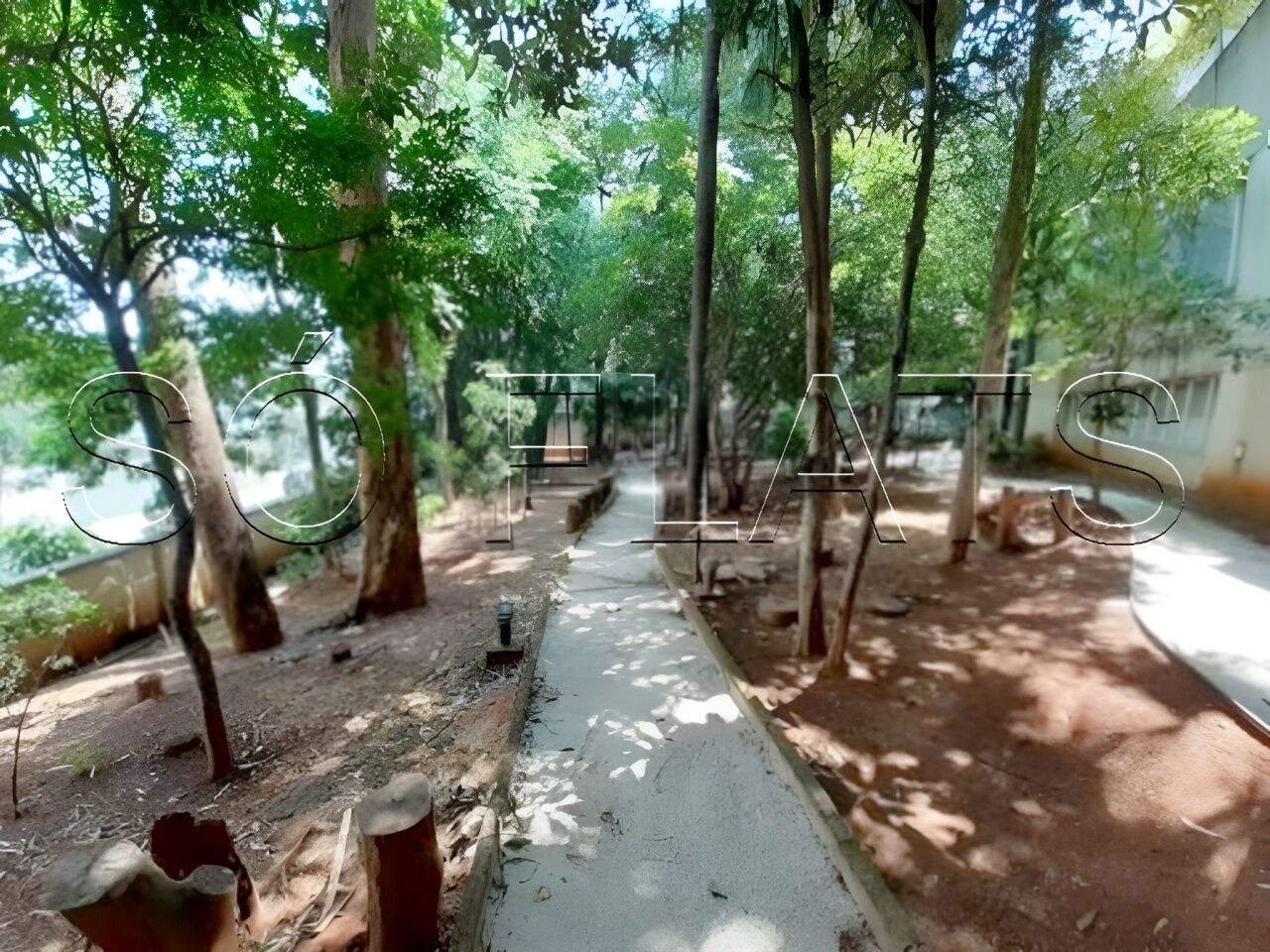 Foto 42